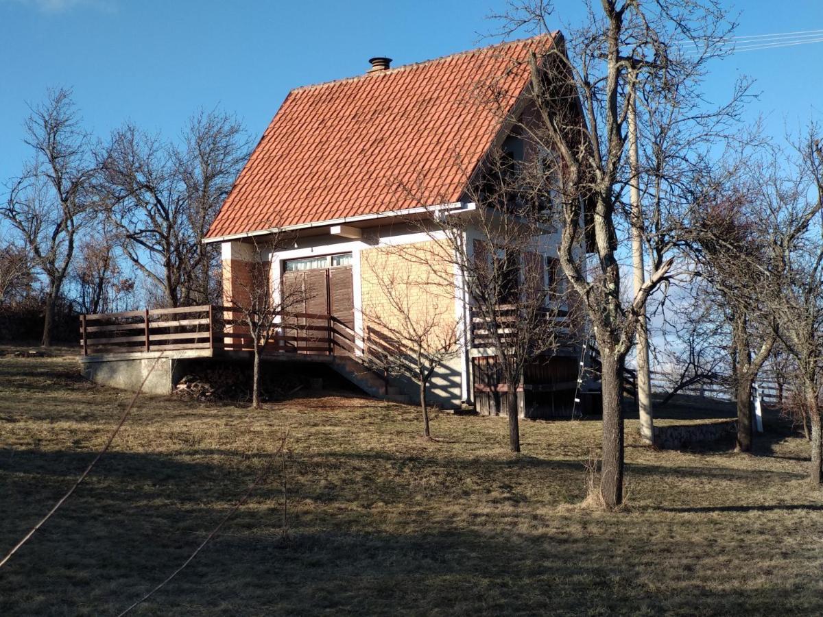 Вилла Srdica Kuca Trnava  Экстерьер фото