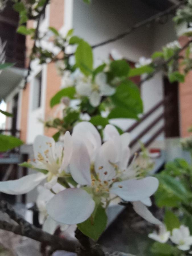 Вилла Srdica Kuca Trnava  Экстерьер фото