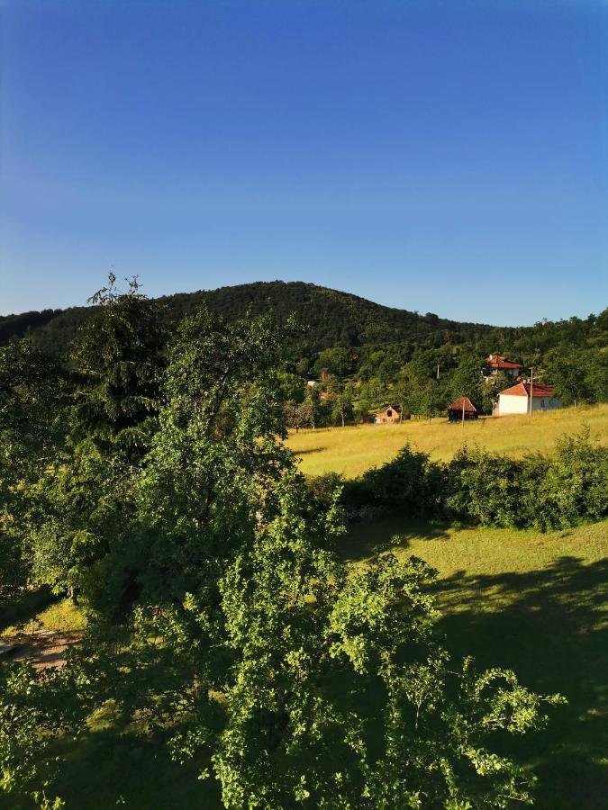 Вилла Srdica Kuca Trnava  Экстерьер фото